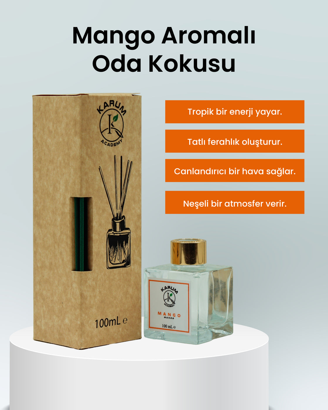 Mango (Egzotik ve Canlandırıcı Meyve Aroması) Çubuklu Kare Oda Kokusu 100ml