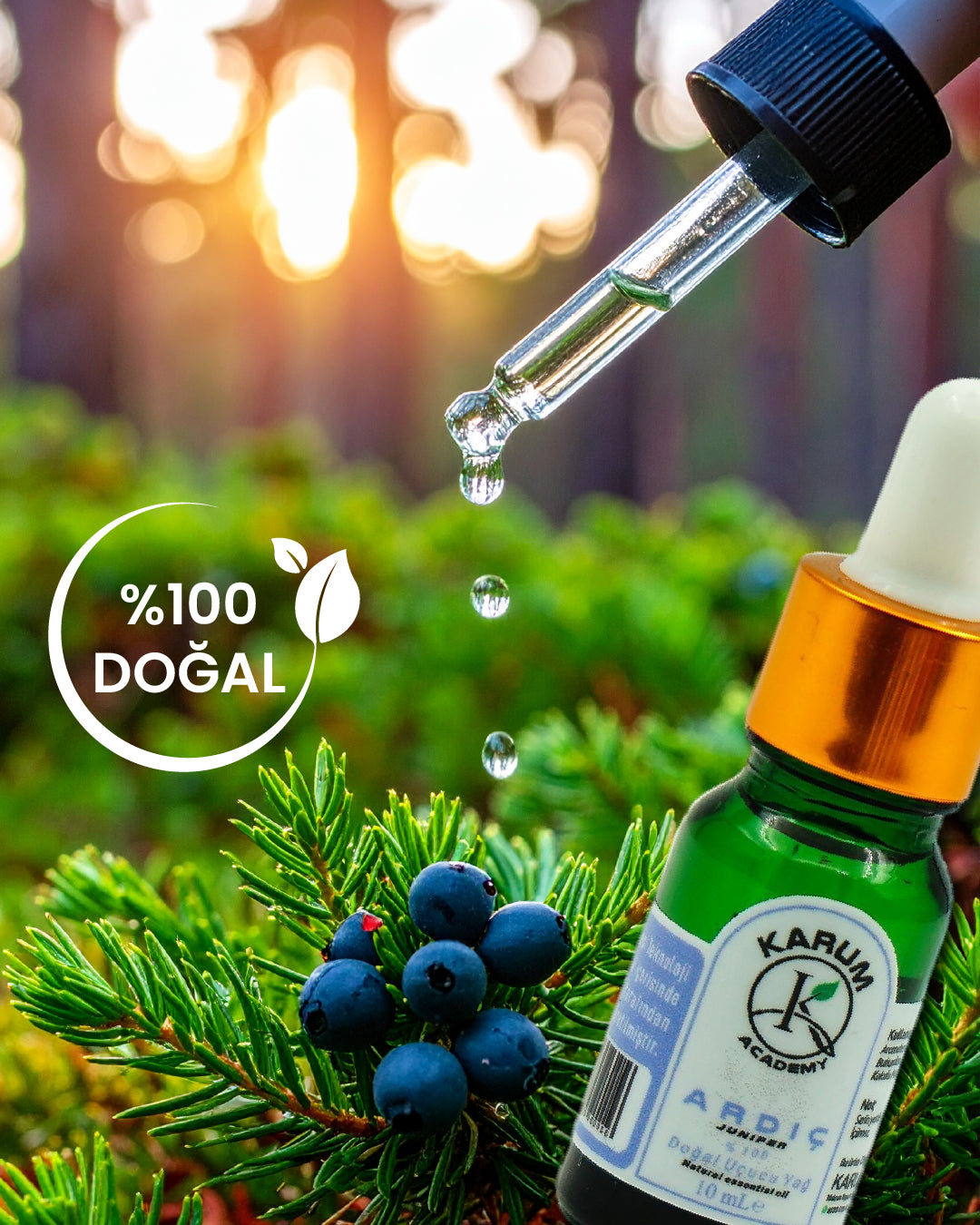Aromaterapi %100 Doğal Cam Damlalıklı (Arınmanın ve Dengenin Doğal Gücü) Ardıç Uçucu Yağ 10ml