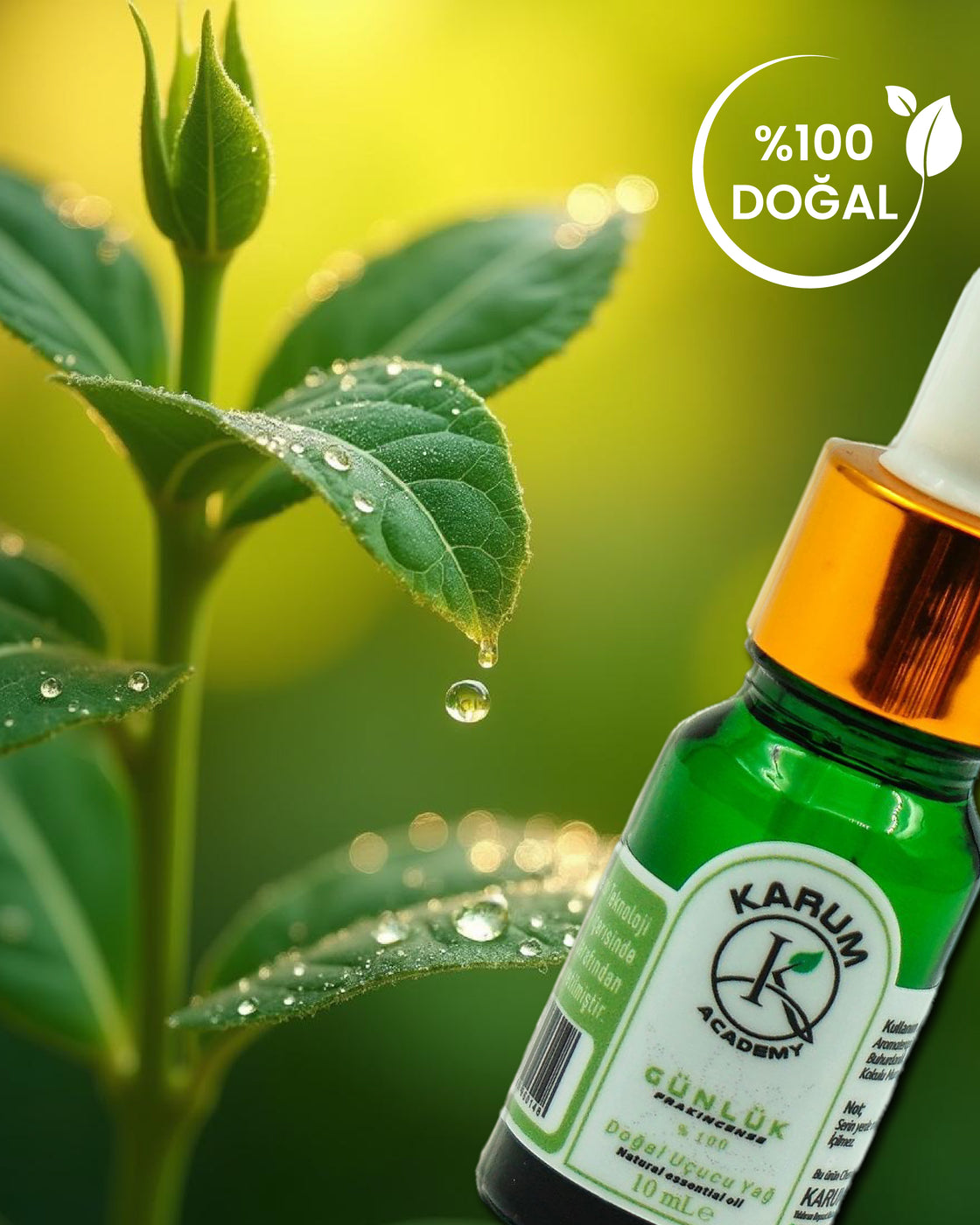 Aromaterapi %100 Doğal Cam Damlalıklı (Kadim Şifanın Modern Yorumu) Günlük Uçucu Yağ 10ml