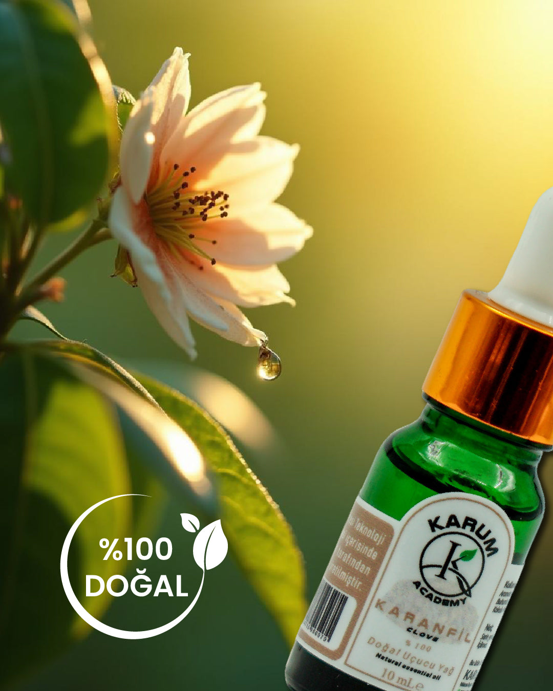 Aromaterapi %100 Doğal Cam Damlalıklı (Doğal Güç ve Koruma) Karanfil Uçucu Yağ 10ml