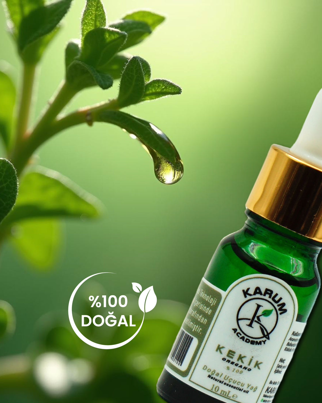 Aromaterapi %100 Doğal Cam Damlalıklı (Doğadan Gelen Güçlü Koruma) Kekik Uçucu Yağ 10ml