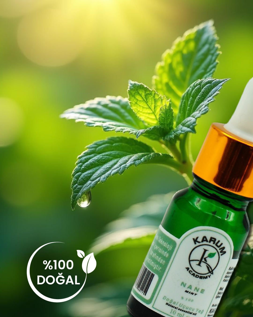 Aromaterapi %100 Doğal Cam Damlalıklı (Ferahlığın ve Canlılığın Gücü) Tıbbi Nane Uçucu Yağ 10ml