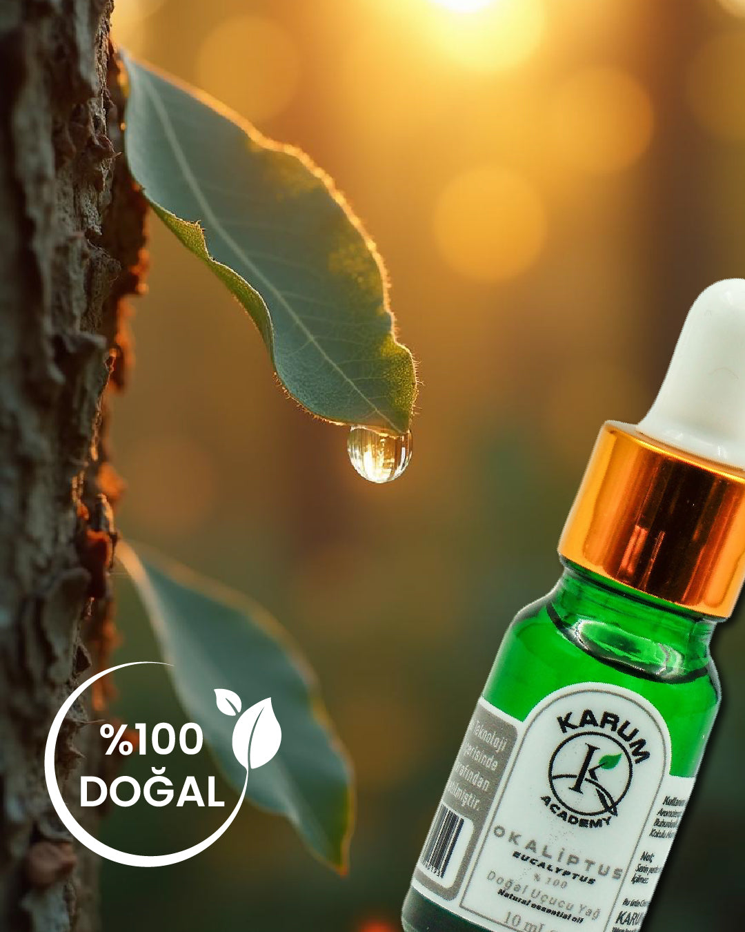 Aromaterapi %100 Doğal Cam Damlalıklı (Doğanın Ferah Nefesi) Okaliptus Uçucu Yağ 10ml