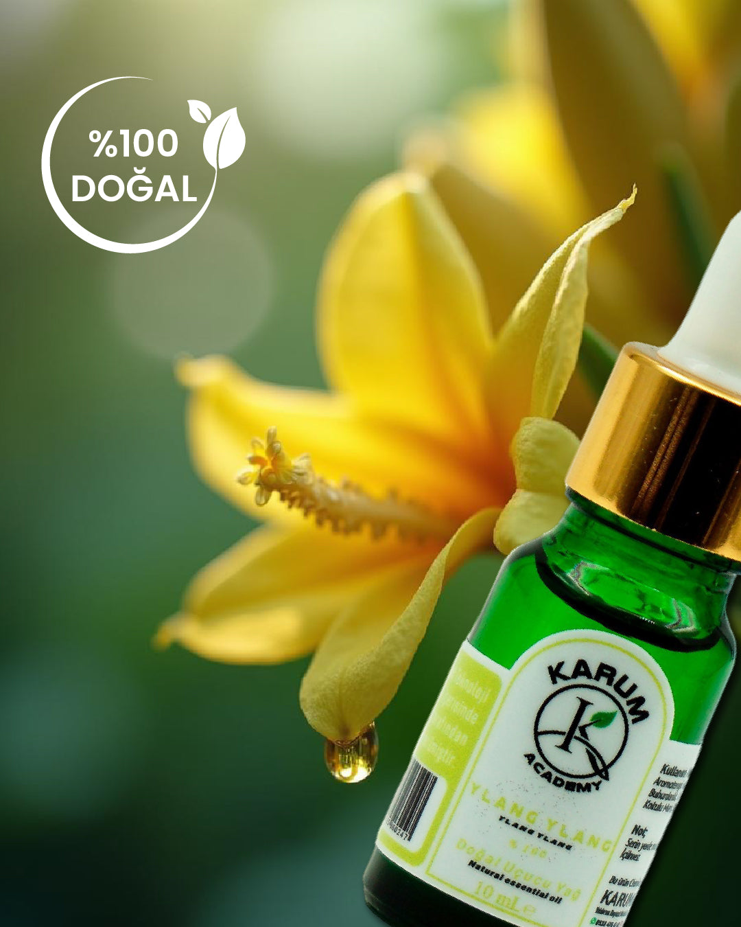 Aromaterapi %100 Doğal Cam Damlalıklı(Duyulara Hitap Eden Egzotik Güç) Ylang Ylang Uçucu Yağ 10ml