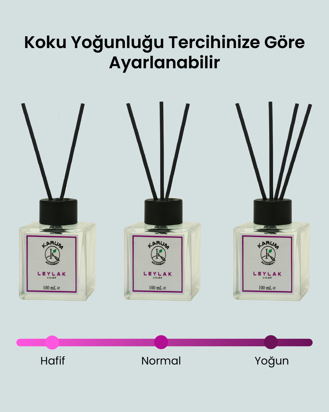 Leylak ( Baharın Zarif ve Ferah Esintisi) Çubuklu Kare Oda Kokusu 100ml