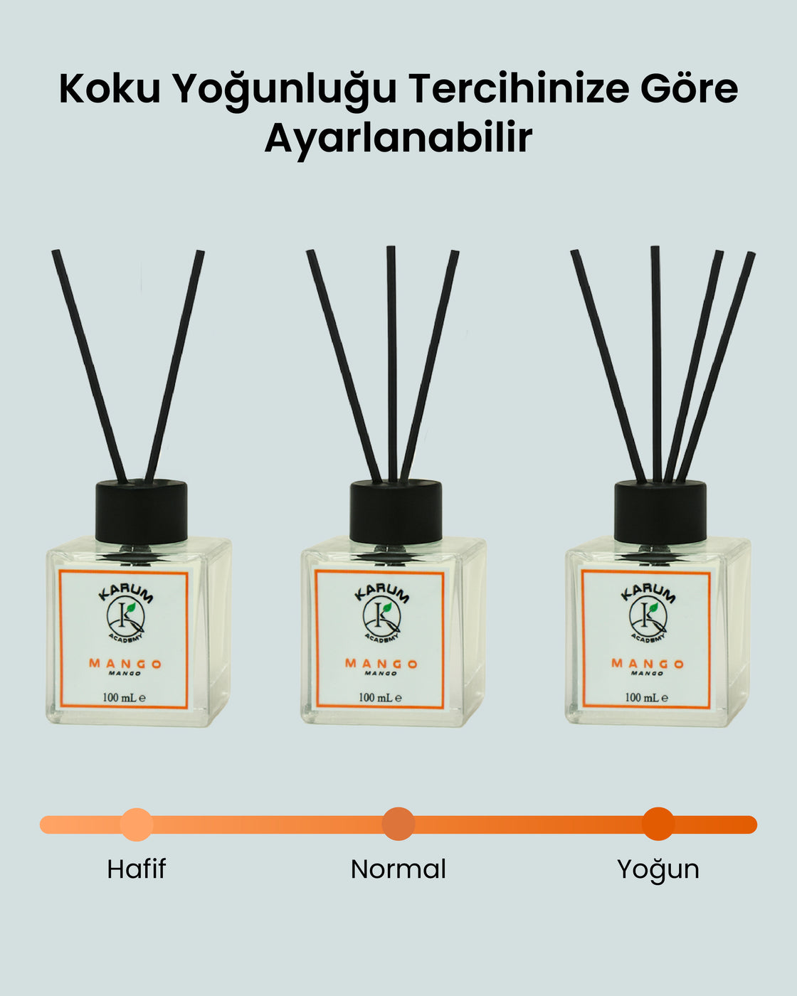 Mango (Egzotik ve Canlandırıcı Meyve Aroması) Çubuklu Kare Oda Kokusu 100ml
