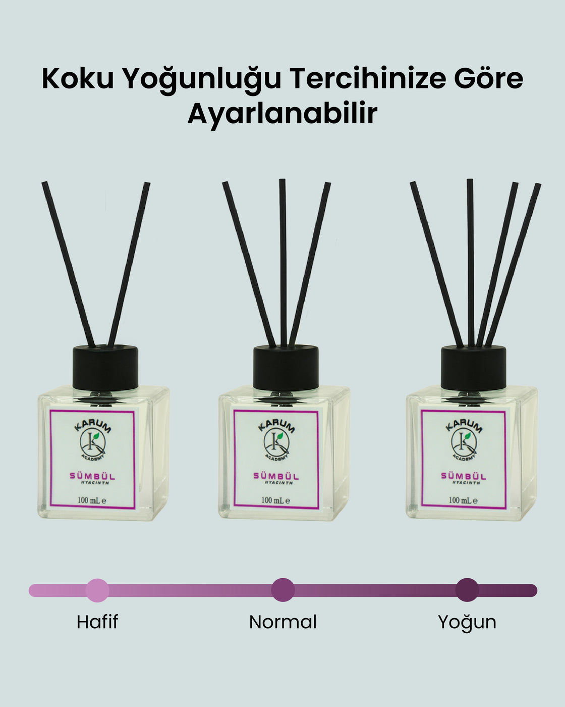 Sümbül (Baharın Ferahlatıcı Esintisi) Çubuklu Kare Oda Kokusu 100ML